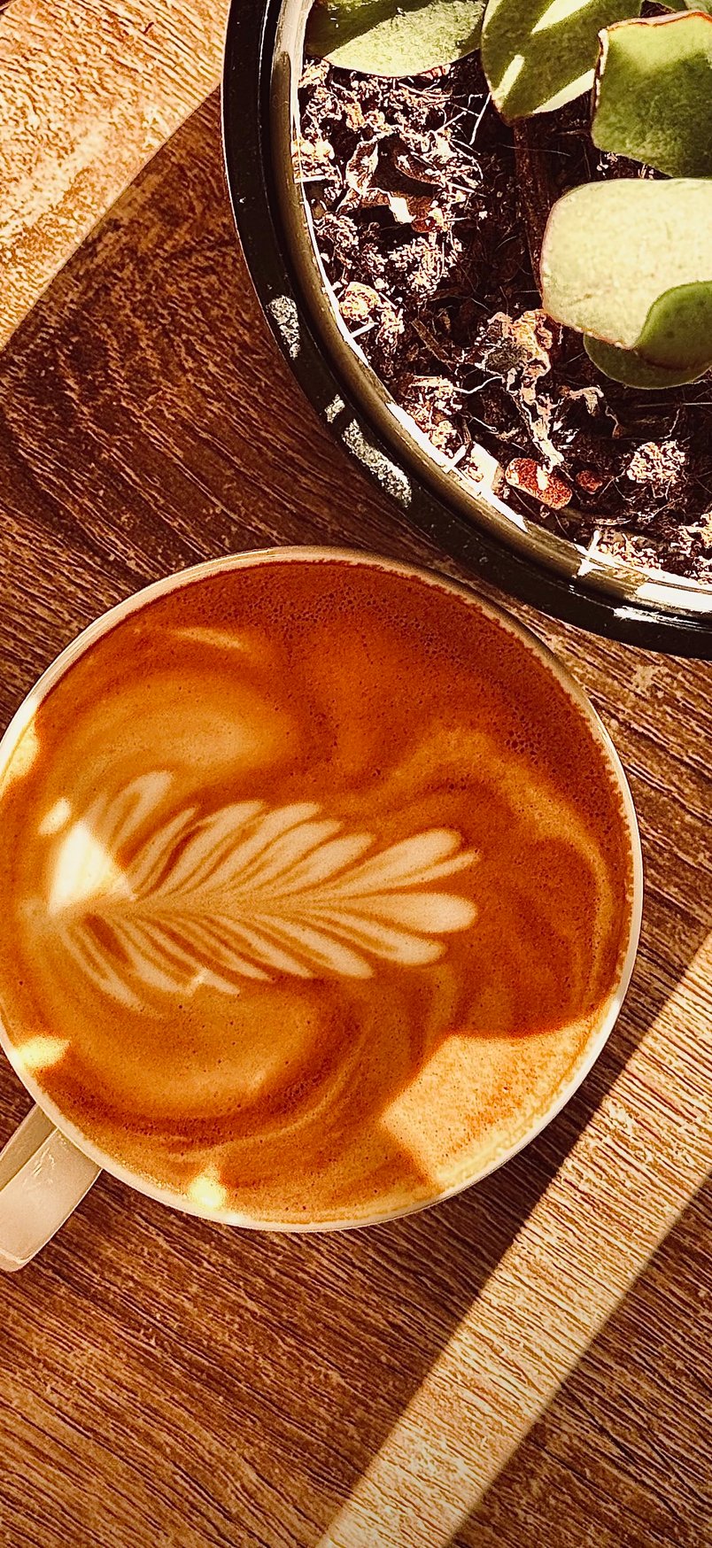 Overhead shot of latte art beside a potted succulent on a sunlit wooden table